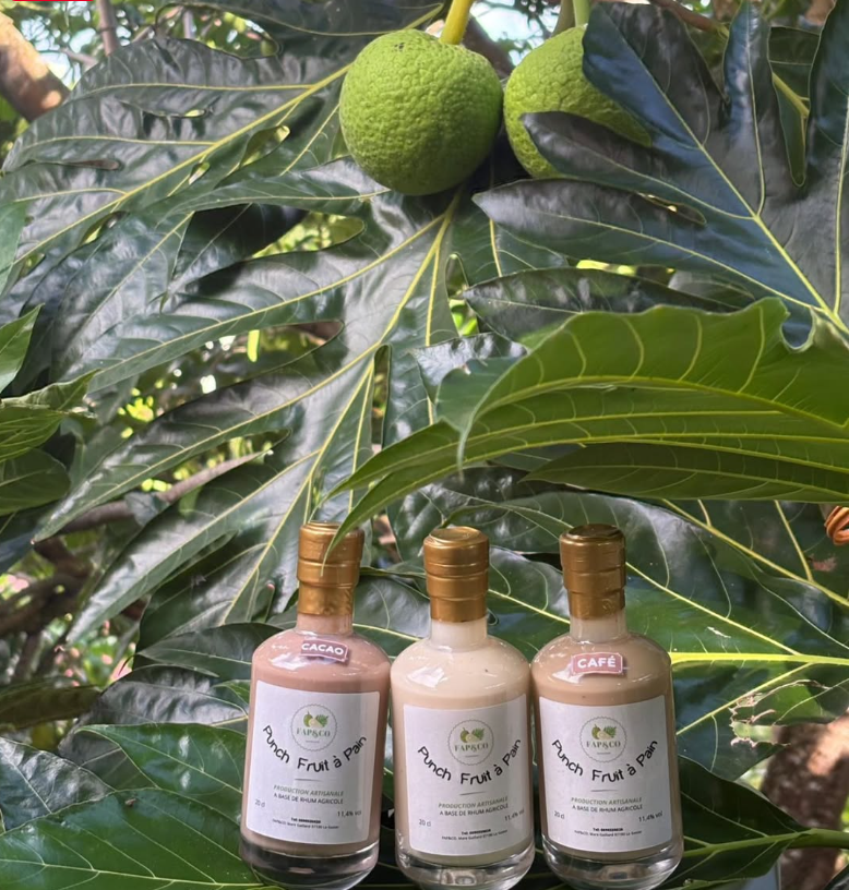 La gamme de punchs FAP & Co nature, cacao et café, au pied d’un arbre à pain